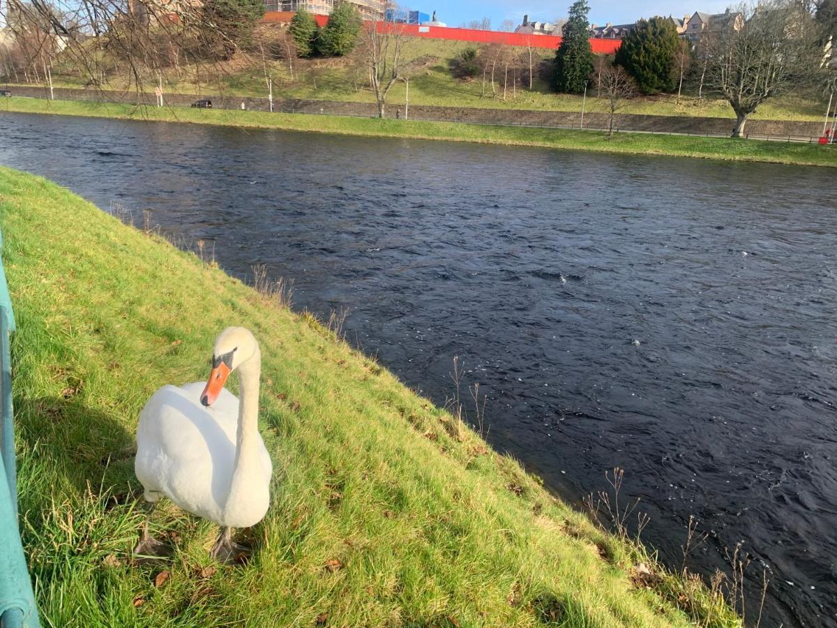 Inverness City Studio Apartment Sleeps 2 Dalneigh Buitenkant foto